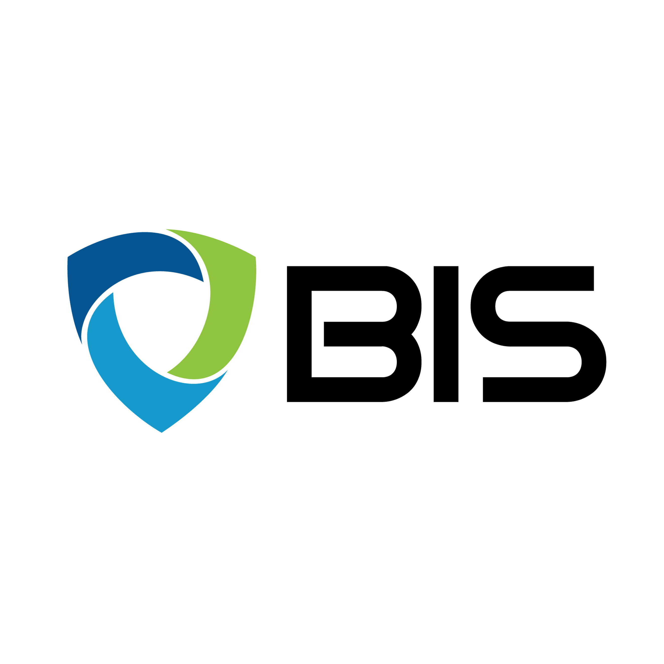 BIS Safety Software