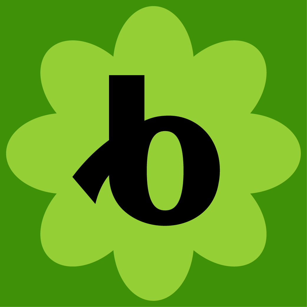 Bloomerang