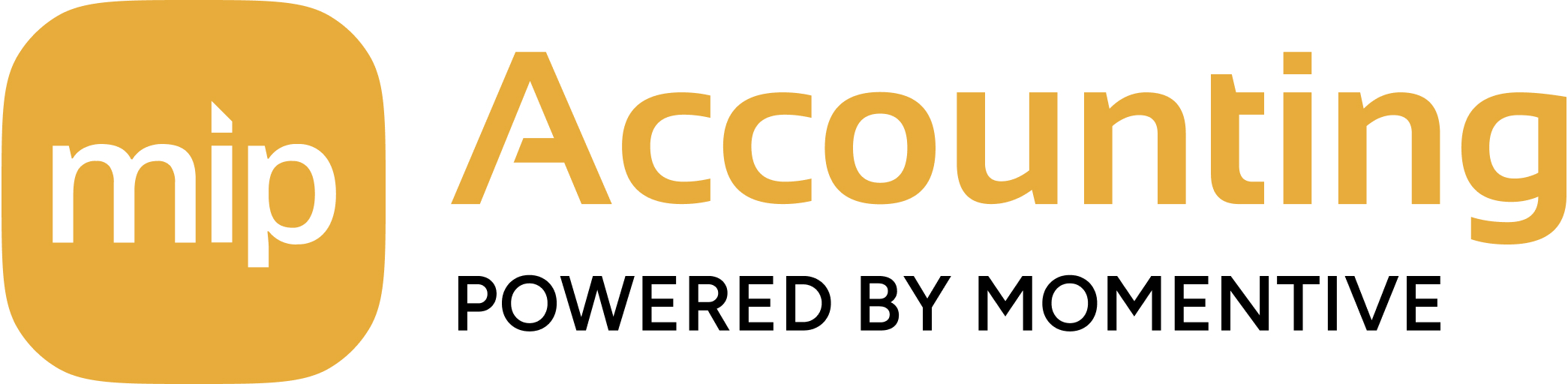 MIP Accounting