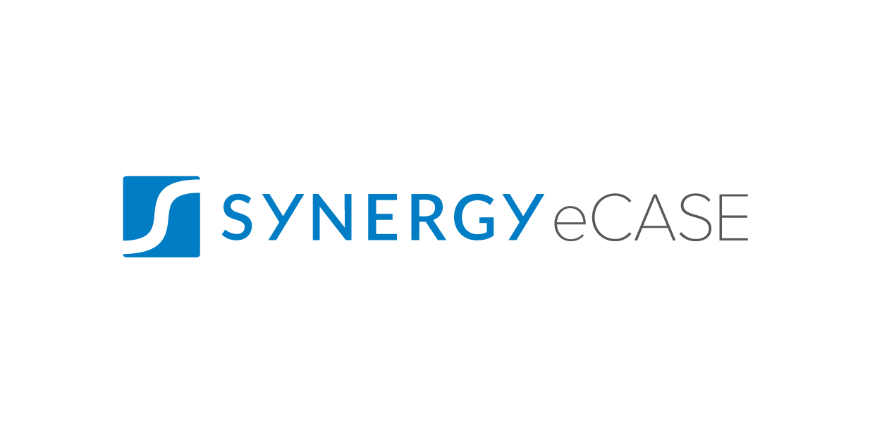 Synergy Case Management System